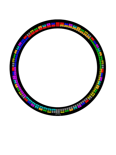 64 symbols colour round Tee - SOUL BROS by telberry