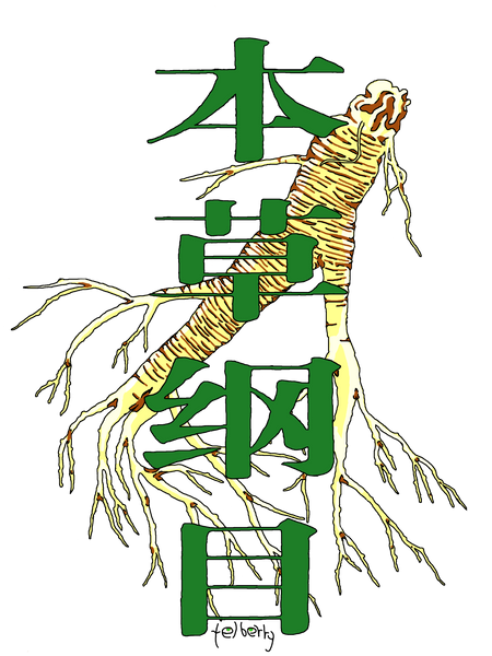 Compendium of Materia Medica with Ginseng Tee - SOUL BROS by telberry